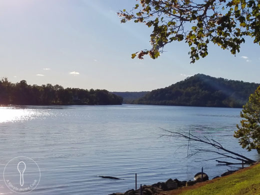 Ohio River View from The Jug